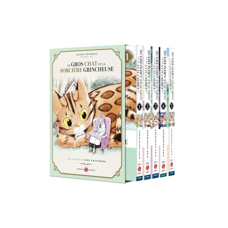 Le gros Chat et la Sorcière grincheuse - Coffret Intégrale