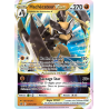 Hachécateur VSTAR — Promo SWSH — SWSH249 — Normale — NM
