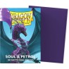 Dragon Shield - 100 protège-cartes standard Dual Mat - Soul & Petrol