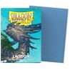 Dragon Shield - 100 protège-cartes standard Dual Mat - Lagoon