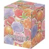 OP TCG Box Devil Fruits