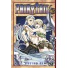 Fairy Tail - Tome 45