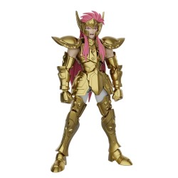 Maquette - Champion Class - Saint Seiya - 75009 - Camus du Verseau - Multicolore