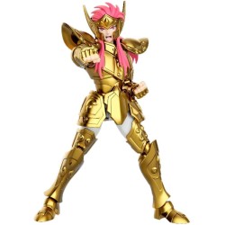 Maquette - Champion Class - Saint Seiya - 75009 - Camus du Verseau - Multicolore