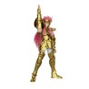 Maquette - Champion Class - Saint Seiya - 75009 - Camus du Verseau - Multicolore
