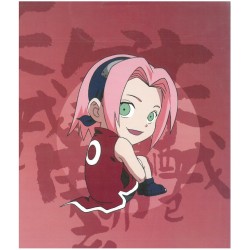 Album photo - Naruto - SD Heroes - 02