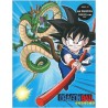 Album photo - Dragon Ball - Goku & Shenron