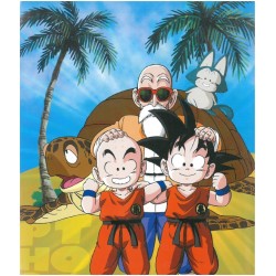 Album photo - Dragon Ball - Goku & Shenron