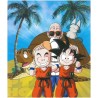 Album photo - Dragon Ball - Goku & Shenron