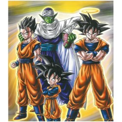 Album photo - Dragon Ball - Gogeta
