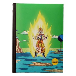 Carnet - Dragon Ball - Namek final battle