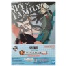 Fourre - Ichibansho - Spy x Family - Forger's Family Pose