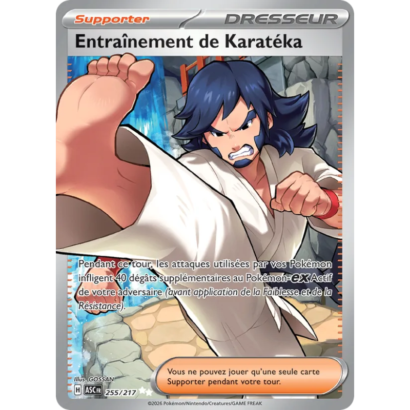 Entraînement de Karatéka — Héros Transcendants — 255 — Holo — NM