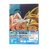 Fourre - Ichibansho - Dragon Ball - VS Omnibus Ultra - J - Multicolore