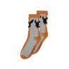 Chaussettes - Pokemon - Évoli - Gris - 35/38