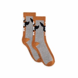 Chaussettes - Pokemon - Évoli - Gris - 35/38