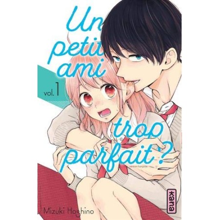 Un  Petit Ami Trop Parfait 1 à 13