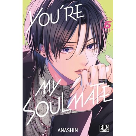 You're my Soulmate - Tome 5