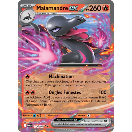 Malamandre-ex — Équilibre Parfait — 016 — Holo — NM