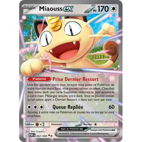 Miaouss-ex — Équilibre Parfait — 062 — Holo — NM