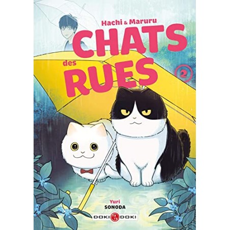 Hachi & Maruru - Chats des rues - Tome 2