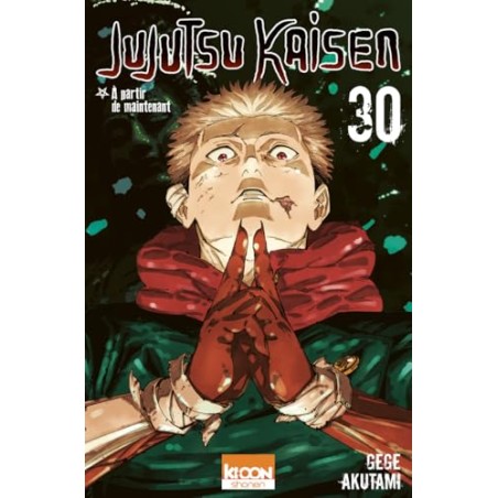 Jujutsu Kaisen - Tome 30