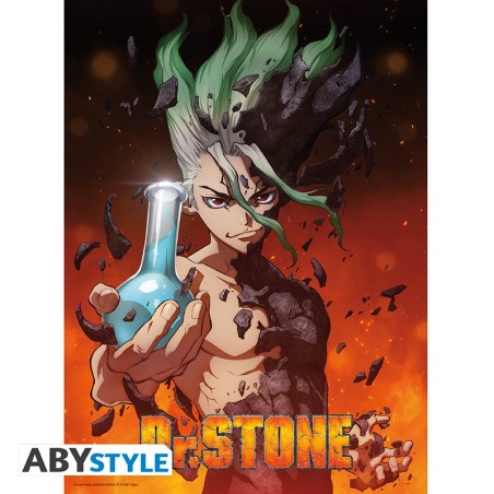 À plat - Dr. Stone - Senku Ishigami