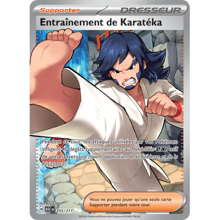Entraînement de Karatéka — Héros Transcendants — 255 — Holo — NM