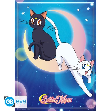 À plat - Sailor Moon - Luna & Artemis
